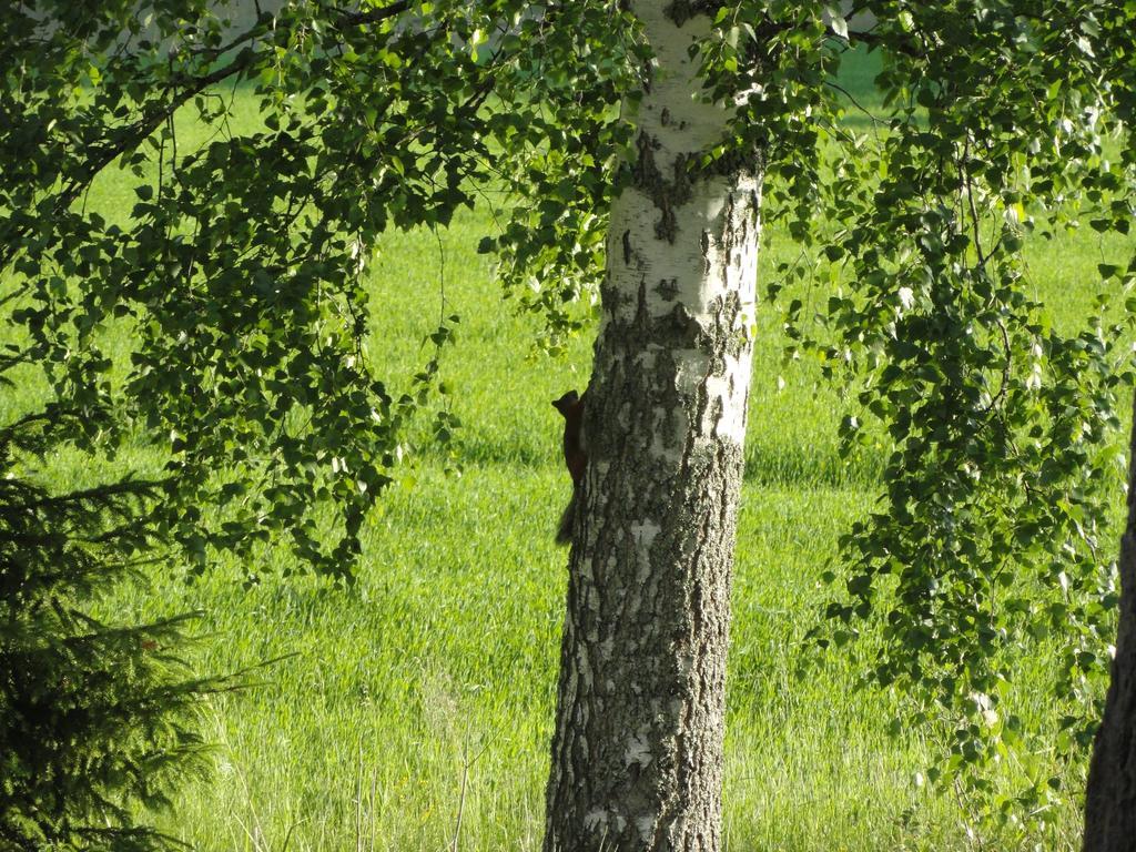 Kalliomajat Ylivalli Exteriér fotografie