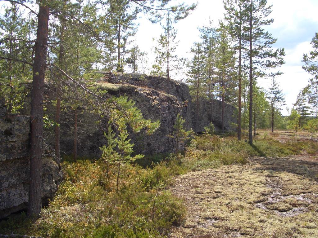 Kalliomajat Ylivalli Exteriér fotografie